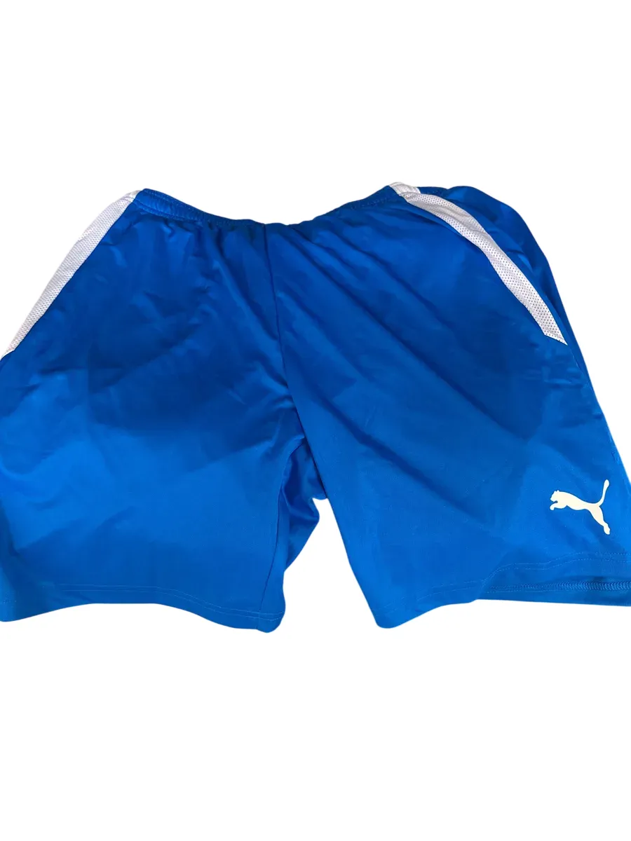 Puma teamLIGA Shorts Herre - Blå L - bilde 1