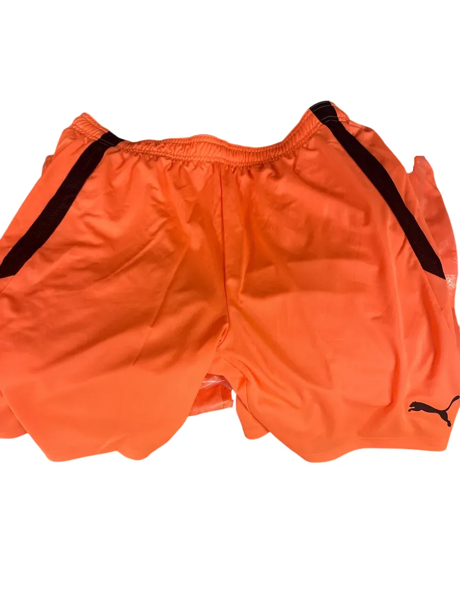 Puma TeamLIGA Shorts XL - bilde 1