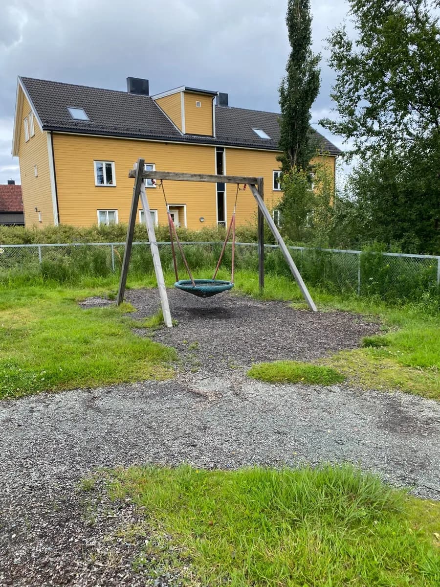 Fugleredesvinge - bilde 1