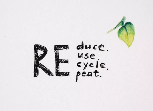 bilde